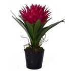 Premier Housewares Pink Tropical Faux Plant in Black Ceramic Pot