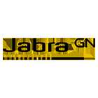 Jabra Evolve 20 MS Teams Certified Mono USB Headset