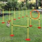 PawHut Outdoor 3 PC Pet Agility Training Garden Starter & Obstacle Set for Dog - Yellow