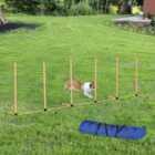 PawHut Dog Agility Weave Poles w/ Training Obstacle Course Set & Whistle - Orange & White