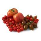 Natoora Seasonal Tomato Selection 1kg