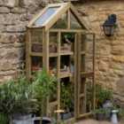 Forest Garden Georgian Wall Greenhouse with Auto Vent