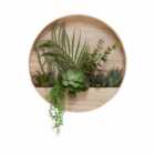 Interiors By Ph Faux Mixed Succulents In Wooden Wall Planter