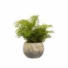 Interiors By Ph Faux Fern In Cement Pot