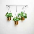 Ivyline Linear Hanging Planters In Black And Gold - 81Cm