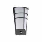 Eglo Anthracite Zinc Plated Exterior Wall Light With Sensor