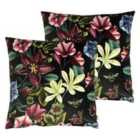 Evans Lichfield Midnight Garden Aquilegia Polyester Filled Cushions Twin Pack Shiraz 43 x 43cm