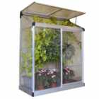 Palram Silver Polycarbonate 4 x 2ft Lean To Greenhouse 