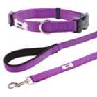 Bunty Middlewood Collar and Middlewood Lead in Purple - Medium