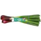 M&S Large Red Salad Onions 130g