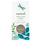 Dragonfly Two Mint Twist Pyramid bags 12 per pack