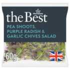 Morrisons The Best Pea Shoots Purple Radish & Garlic Chives 60g