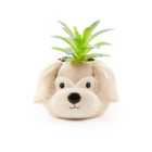 Dog Character Plant Pot