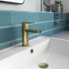 Nuie Arvan Mono Basin Mixer With Push Button Waste - Brushed Brass
