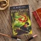 Harry Potter and the Chamber of Secrets Book