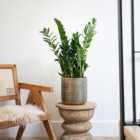 Solis Embossed Plant Pot