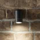 Lantana Metal Fixed Spot Outdoor Wall Light