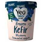 Yeo Valley Organic Blueberry Kefir Frozen Yogurt, 480ml
