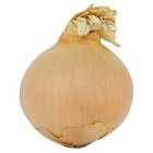 Essential Onions, per kg