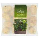Duchy Organic Potatoes, 1.5kg