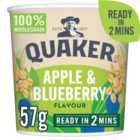 Quaker Oat So Simple Apple And Blueberry Porridge Pot 57g