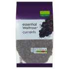 Essential Currants, 500g