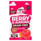 The Paleo Foods Co Berry & Almond Grain-Free Granola 285g