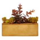 Premier Housewares Mixed Faux Succulents in Ceramic Gold Pot