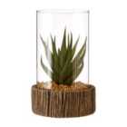 Premier Housewares Small Faux Succulent with Natural Stone Base
