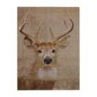 Premier Housewares Wall Plaque Stag Damask