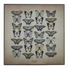 Premier Housewares Papilio Butterfly Wall Plaque