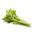 Daylesford Organic Celery 350g
