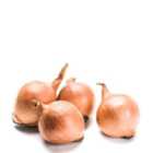 Daylesford Organic Brown Onions 500g