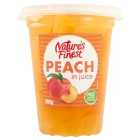 Nature's Finest Peach in Juice (400g) 230g