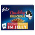 Felix Doubly Delicious Meat Selection in Jelly Wet Cat Food 12 x 100g