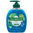 Palmolive Hygiene Plus Fresh Eucalyptus Hand Wash 300ml