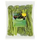 Sunripe Organic Washed & Ready to Eat Tenderstem Broccoli 240g
