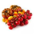 Natoora Seasonal Tomato Selection 600g