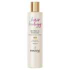 Pantene Hair Biology Defrizz & Illuminate Shampoo 250ml
