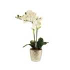 Artificial Orchid White In Silver Pot