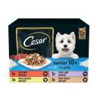 Cesar Senior Wet Dog Food Pouches Mixed Selection in Jelly 12 x 100g