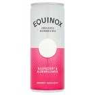Equinox Kombucha Raspberry Organic Fruit Juice, 250ml