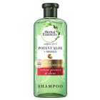  Herbal Essences Bio Renew Potent Aloe & Mango Shampoo 380ml