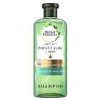 Herbal Essences Bio Renew Potent Aloe & Hemp Shampoo 380ml