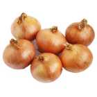 Wholegood Organic Onions 1.5kg