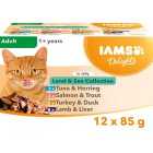 Iams Delights Adult Land & Sea Collection in Jelly Multipack 12 x 85g