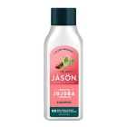 Jason Vegan Jojoba Pure Natural Shampoo 480ml
