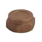 Plumbsure Brass Gold effect Compression Blanking cap (Dia)15mm