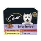 Cesar Juicy Hotpot Adult Wet Dog Food Trays Mixed in Gravy 8 x 150g