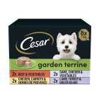 Cesar Garden Terrine Dog Food Tray Mixed in Loaf 8 x 150g